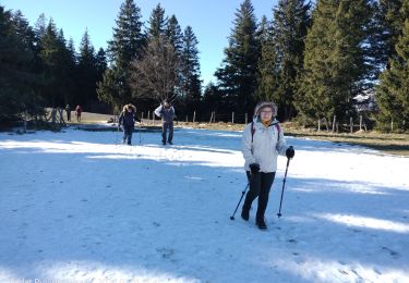 Percorso Marcia Besse-et-Saint-Anastaise - lac pavin - Photo