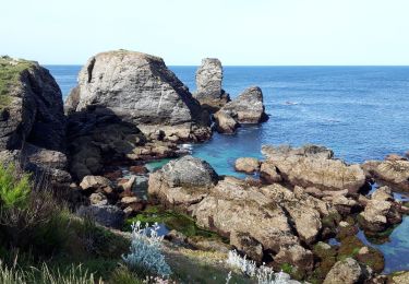 Trail Walking Sauzon - J2-Pointe des Poulains - Port Goulphar 20 km - Photo