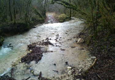 Tocht Stappen Ornans - Ornans - Cascades  Baume Bourla de la tuffière- Source Bleue 29 déc 2020 CAF - Photo