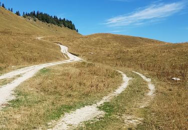 Tour Wandern Autrans-Méaudre en Vercors - la Molière, COL de bellecombe - Photo