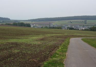 Randonnée A pied Veldenz - Jakob-Maria-Mierscheid-Weg - Photo