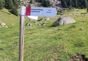 Trail Walking  - etp35. Gr11  - Photo