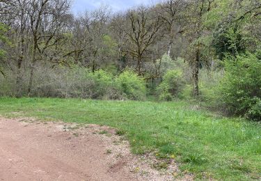 Excursión Senderismo Le Vignon-en-Quercy - Muriel œil de la Doue - Photo