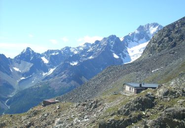 Tour Zu Fuß Chiesa in Valmalenco - Chiareggio-Passo del Muretto-Sentiero Rusca - Photo