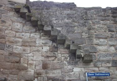 Tour Zu Fuß Neustadt an der Aisch - Strahlbach-Tour - Photo