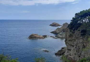 Trail Walking Tossa de Mar - Wikiloc - Tossa de Mar-Cala Bona-Tossa - Photo