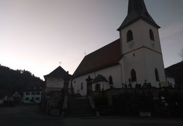 Tour Wandern Sewen - Sewen Fennematt Sewen - Photo