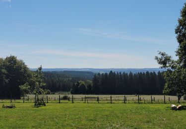 Tour Wandern Hohenfels - randos les colas 5-09-2023 - Photo