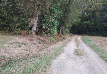 Tocht Mountainbike Ger - RSlac deponsonbois du poey2022 - Photo
