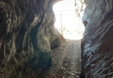 Tour Wandern Brison-Saint-Innocent - GROTTE AUX FEES-G1-19-09-22 - Photo