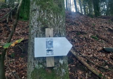 Tocht Mountainbike Celles-sur-Plaine - sortie vtt du 24102019 celles sur plaine - Photo