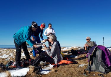 Trail Snowshoes Villard-de-Lans -  Le plateau du Cornafion en raquettes en circuit - Photo