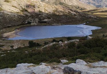Tour Wandern Albertacce - GR 20 Corse étape 6 - Photo