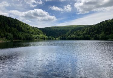 Trail Walking La Bresse - Feignes-sous-Vologne / Lac de la Lande / Lac de Blanchemer - Photo