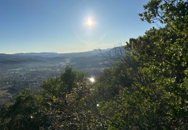 Trail sport Saint-Bauzille-de-Putois - Plateau du Taurac - Photo