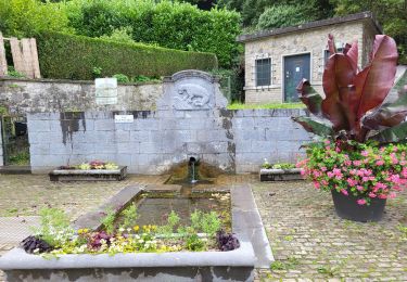 Tour Wandern Andenne - Andenne 290823 - Photo