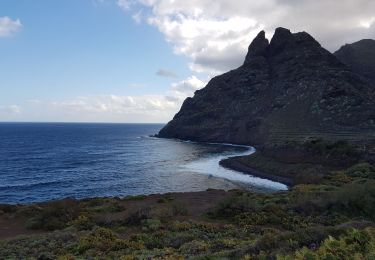 Tocht Trail San Cristóbal de La Laguna - Punta del Hidalgo - Chinamada - Punta del Hidalgo - Photo