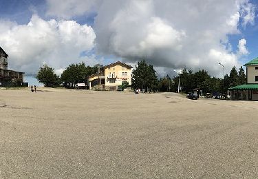 Percorso A piedi Tizzano Val Parma - Schia - Percorso 736 - Corno di Caneto - Photo