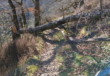 Tocht Stappen Lapeyrugue - La vallée du Goul - Photo