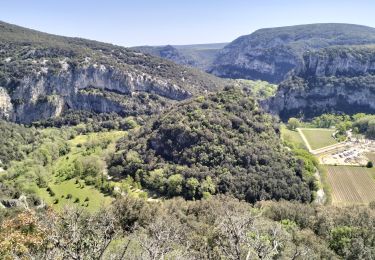 Trail Walking Vallon-Pont-d'Arc - 07_Pont_d'Arc_14km515 - Photo