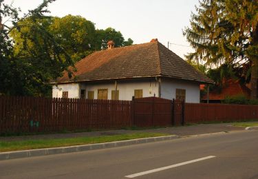 Tocht Te voet Covasna - Hotel Hefaistos - Poiana lui Cocorea - Photo