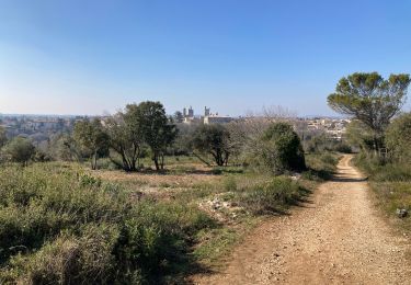 Tocht Stappen Uzès - Uzes  - Photo