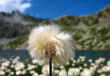 Trail On foot Pinzolo - Sentiero dei cinque laghi - Photo