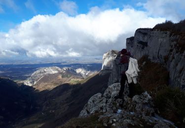 Randonnée Marche Saint-Martin-en-Vercors - les pas de l'Allier - Photo