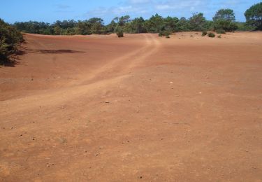 Tour Zu Fuß São Pedro - PR1SMA Costa Norte - Photo