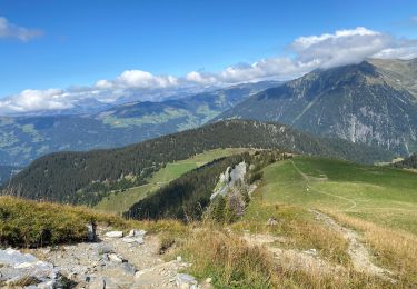 Trail Walking Beaufort - La Roche PARSTIRE  - Photo