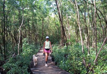 Tocht Stappen Port-Louis - Anse du Souffleur - Pointe d'Antigues - Photo