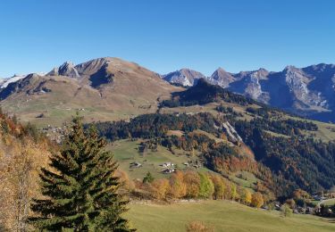 Tour Wandern Le Grand-Bornand - Aiguille Verte de Chinaillon - Photo