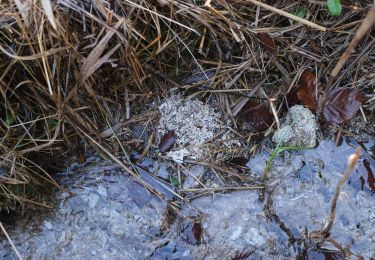 Tocht Te voet Wangen im Allgäu - Wanderweg 12 Wangen im Allgäu - Photo