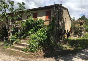 Randonnée Marche Caudiès-de-Fenouillèdes - Caudies de Fenouillet  /Castel fizel /chez Luc - Photo