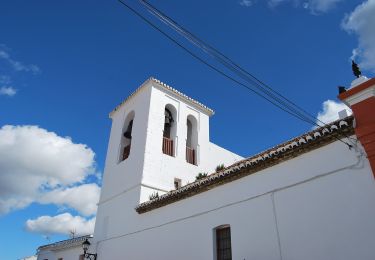 Tocht Te voet El Burgo - EL BURGO-PUERTO DE LA MUJER - Photo