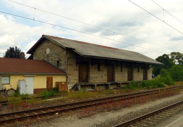 Tour Zu Fuß Hersbruck - Hersbrucker Rundweg Nr. 6 - Photo