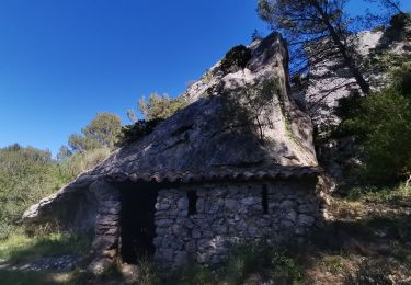 Trail Walking Roquefort-des-Corbières - Roquefort des Corbières Jean 17.04.22 - Photo