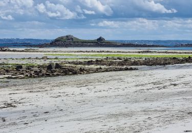 Randonnée Marche Île-de-Batz - Île de batz  - Photo