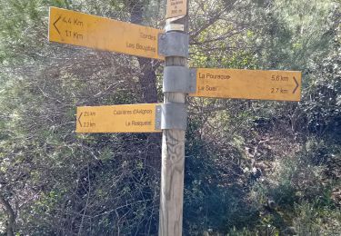 Trail Walking Cabrières-d'Avignon - Cabrieres les Boujolles - Photo