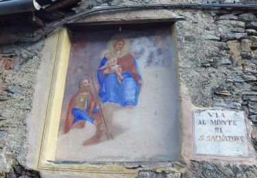 Percorso A piedi Massino Visconti - Anello basso di San Salvatore - Photo