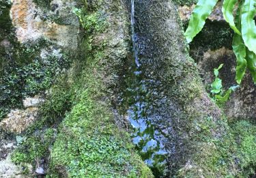 Tour Wandern Meilhan-sur-Garonne - Meillhan sur Garonne - Photo