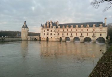 Excursión Senderismo Chenonceaux - Boucle Chenonceaux - Photo