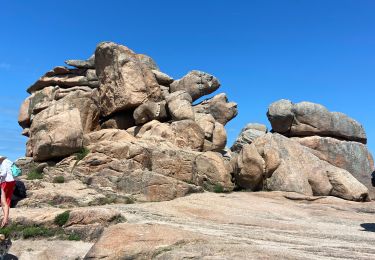 Trail Walking Perros-Guirec - Ploumanach côté granite rose  - Photo