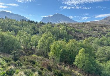 Tour sport  - Ben Nevis face Nord - Photo