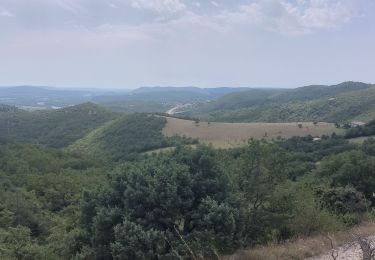 Tocht Stappen Rochemaure - Le Chenavary 11km. - Photo