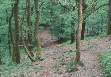 Tocht Stappen Aiglemont - Be et EV Petit Sabot  - Photo