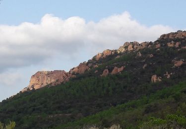 Tour Wandern Saint-Raphaël - Agay - Sainte-Barbe - Étang des Nénuphares - Photo