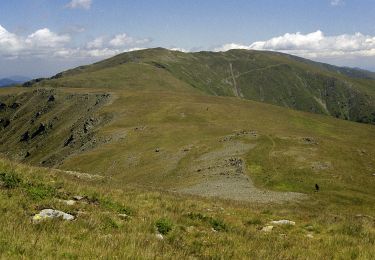 Tour Zu Fuß  - Cabana Voina - M. Iezeru Mare - Refugiul Iezer - Photo