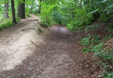 Randonnée Marche Liège - Grivegnée-Fayenbois  - Photo