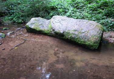 Tour Zu Fuß Wangenburg-Engenthal - Géants du Nideck (Wangenbourg) - Photo